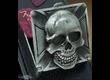 Rebel Straps Metal Skulls Series - Pick Box