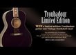 Recording King RNJ-26 Troubador Limited Edition