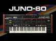 roland-juno-60-software-synthesizer-299679.png