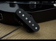 Seymour Duncan Billy Gibbons Gilly Tele