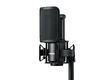 03b Chanteuse 01 Akg 414 XLS