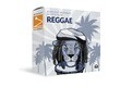 singular-sound-reggae-beats-in-the-style-of-283845.jpg