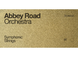 Spitfire Audio Abbey Road Orchestra Symphonic Strings Professional