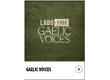 LABS_Gaelic Voices Cellular