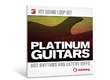 Steinberg Platinum Guitars VST Sound Loop Set