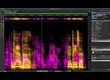 Steinberg Spectralayers Pro 13