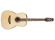 Takamine LTD2013 Peak