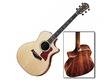 Taylor 814ce-L10 Fall limited Edition