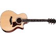 Taylor Next Generation 314ce