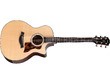 Taylor Next Generation 414ce