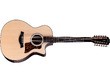Taylor Next Generation 454ce