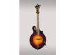 The Loar LM-700