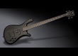 Warwick Pro GPS Streamer LX 4