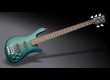 Warwick Pro GPS Streamer LX 5