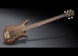 Warwick Pro GPS Thumb Bolt-On 5
