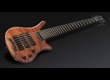 Warwick Thumb NT 6