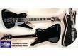 Washburn PS2000