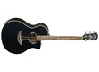 Yamaha APX500II