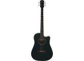 BG29 Acoustic Electric Bass-1