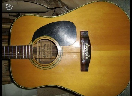 Suzuki Guitar Serial Numbers