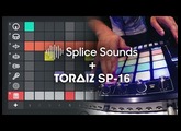 Pioneer DJ & Splice: Create TORAIZ SP-16 scenes anywhere with Splice Sounds