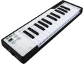 25-Key MIDI Keyboards