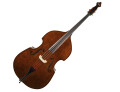 Contrebasses