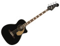 Acoustic and acoustic-electric bass guitars