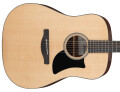 Dreadnought Steel String Guitars
