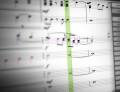 Logiciels de notation musicale