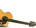 Acoustic-electric resonator guitars