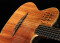 Autres guitares électro-acoustique Autres guitares électro-acoustique