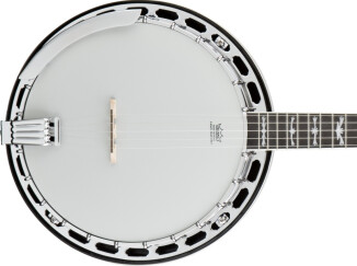 Un étui pour banjo chez On-Stage Stands