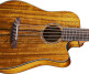 Manne Acoustibass 5 Natural Top