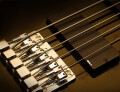 5+ string bass guitars