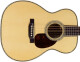 Other Steel String Guitars