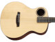 Other Acoustic Guitars
