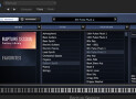 A review of Cakewalk Rapture Session, a $29.99 Mac/PC software instrument