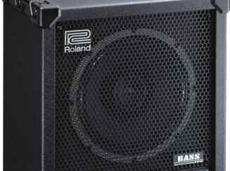 Roland CB120XL Cube Bass Review