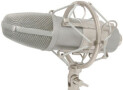 The Top Large Diaphragm Condenser Microphones Under $150/€100