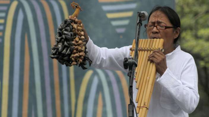 Les instruments de la musique andine : Organologie de la musique andine
