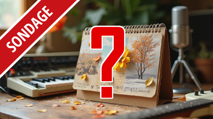 Sondage sur vos habitudes d'achats :