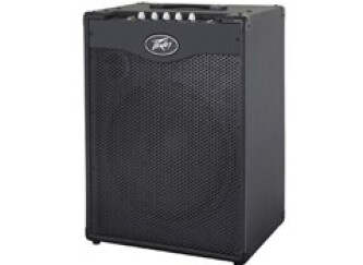 Test du Peavey Max 115