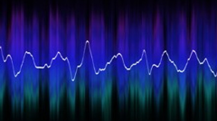 Anatomie des ondes sonores