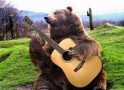Vidéos sur les animaux qui chantent ou jouent d'un instrument