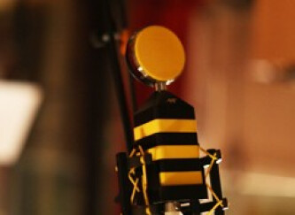 Test des micros Neat Microphones King Bee & Worker Bee