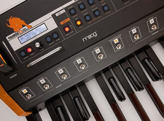 Test du Moog Taurus 3 Bass Pedals