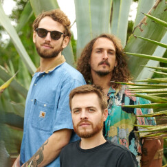 Mezcal in Cactus (rock psyché) cherche son nouveau bassiste