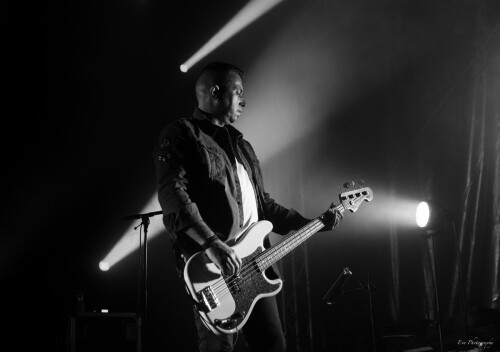 Bassiste typé Cold Wave - Post Punk