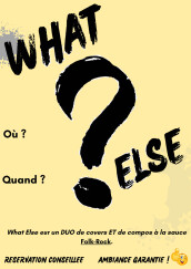 Guitariste-chanteur avec répertoire cherche son bassiste pour le duo What Else (Albi/Carmaux).